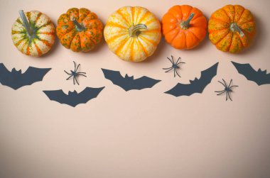 Cadılar Bayramı arka plan, farklı renkli Pumpkins, siyah yarasalar ve örümcekler, Cadılar Bayramı sembolleri kavramı