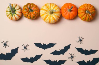 Cadılar Bayramı arka plan, farklı renkli Pumpkins, siyah yarasalar ve örümcekler, Cadılar Bayramı sembolleri kavramı