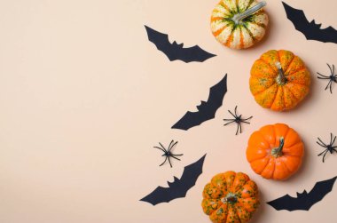 Cadılar Bayramı arka plan, farklı renkli Pumpkins, siyah yarasalar ve örümcekler, Cadılar Bayramı sembolleri kavramı