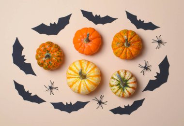 Cadılar Bayramı arka plan, farklı renkli Pumpkins, siyah yarasalar ve örümcekler, Cadılar Bayramı sembolleri kavramı