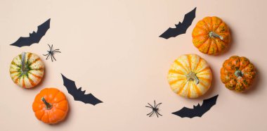 Cadılar Bayramı arka plan, farklı renkli Pumpkins, siyah yarasalar ve örümcekler, Cadılar Bayramı sembolleri kavramı