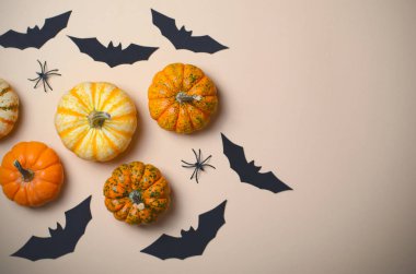 Cadılar Bayramı arka plan, farklı renkli Pumpkins, siyah yarasalar ve örümcekler, Cadılar Bayramı sembolleri kavramı