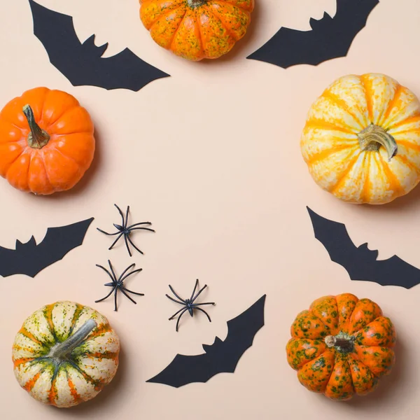 Cadılar Bayramı arka plan, farklı renkli Pumpkins, siyah yarasalar ve örümcekler, Cadılar Bayramı sembolleri kavramı