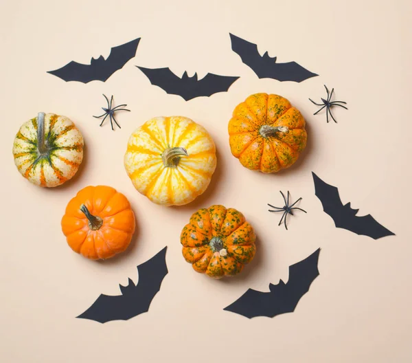 Cadılar Bayramı arka plan, farklı renkli Pumpkins, siyah yarasalar ve örümcekler, Cadılar Bayramı sembolleri kavramı