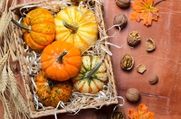 Diferentes Calabazas Coloridas Paja Otoño Acción Gracias Fondo Halloween — Foto de Stock