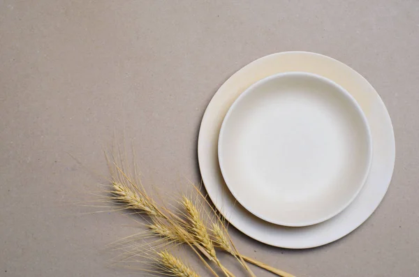Екологічно Чисті Переробні Плити Посуд Пшениці Вид Зверху — стокове фото