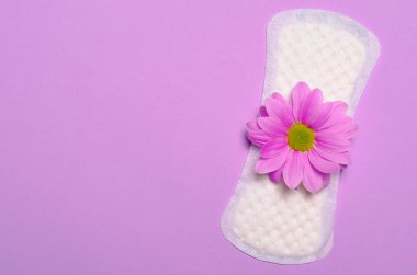 Kadının hijyenik ped ve Gerbera papatya çiçek pembe arka plan, kadın hijyen kavramı üzerinde