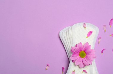 Hijyenik kadın pedleri ve Gerbera papatya çiçek pembe arka plan, kadın hijyen kavramı üzerinde