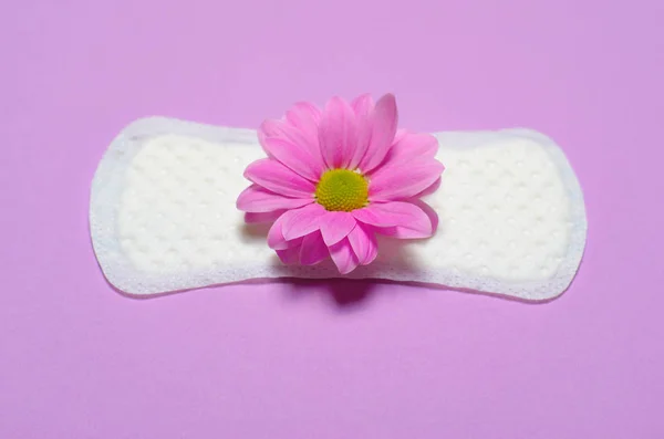 Woman Sanitary Pad Gerbera Daisy Flower Pink Background Feminine Hygiene — Stock Photo, Image