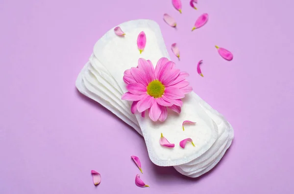 Woman Sanitary Pads Gerbera Daisy Flower Pink Background Feminine Hygiene — Stock Photo, Image