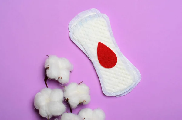 Woman Sanitary Pad Cotton Flower Pink Background Feminine Hygiene Concept — Stock Photo, Image
