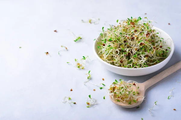 Brotes de alfalfa orgánica verde fresca sobre fondo brillante —  Fotos de Stock