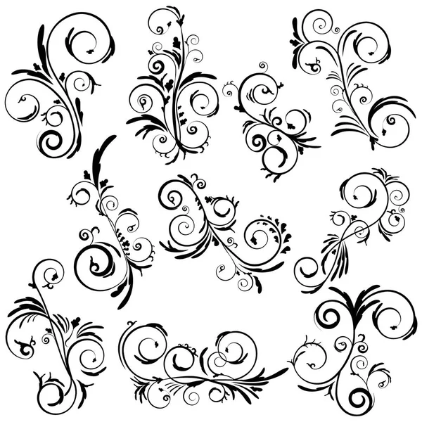 Abstract Elegant Curly Set Swirl Beautiful Floral Vector Collection Decorative — Stock Vector