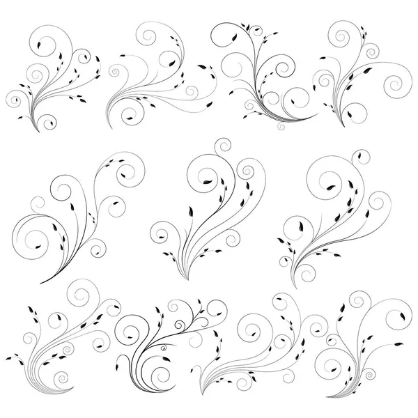 Thin Curly Floral Lines Delicate Leaf Swirl Black Floral Vector — Stock Vector