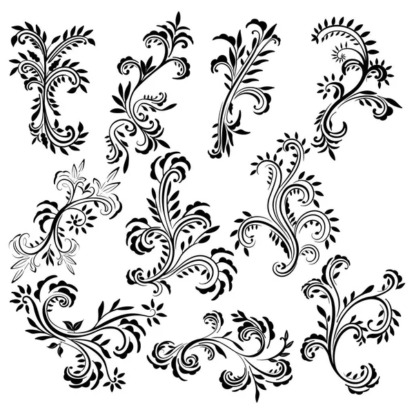 Set Delicate Abstract Floral Vector Lot Leaves Beautiful Curls Silhouette — Stock Vector