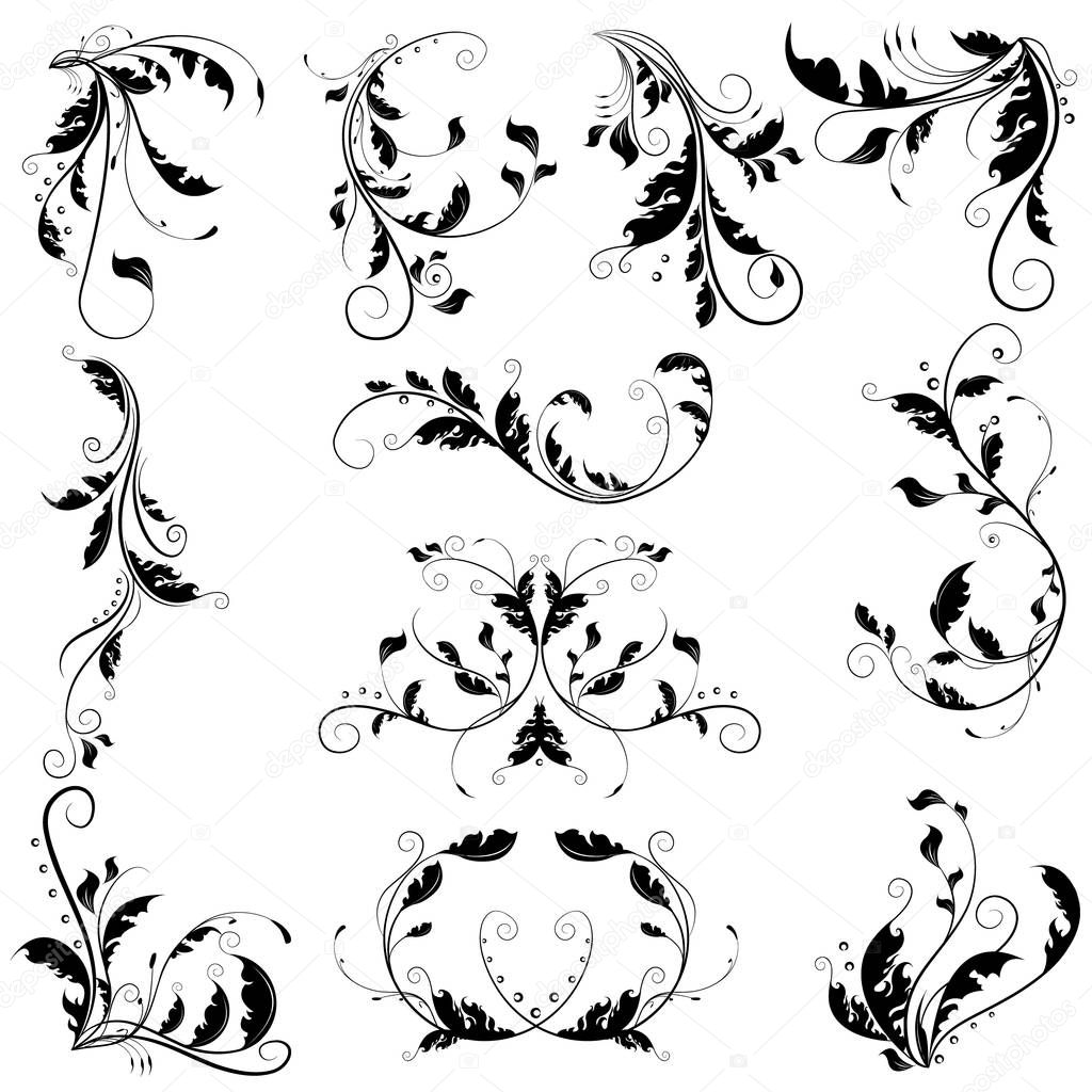 Black delicate abstract floral graphic with curly branches and ornamental swirl leaves. Beautiful floral collection.