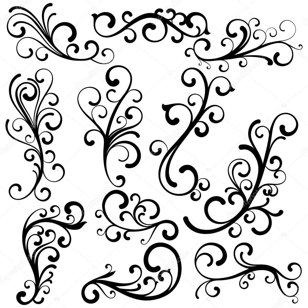 Beautiful abstract curls collection. Elegant floral vector concept.