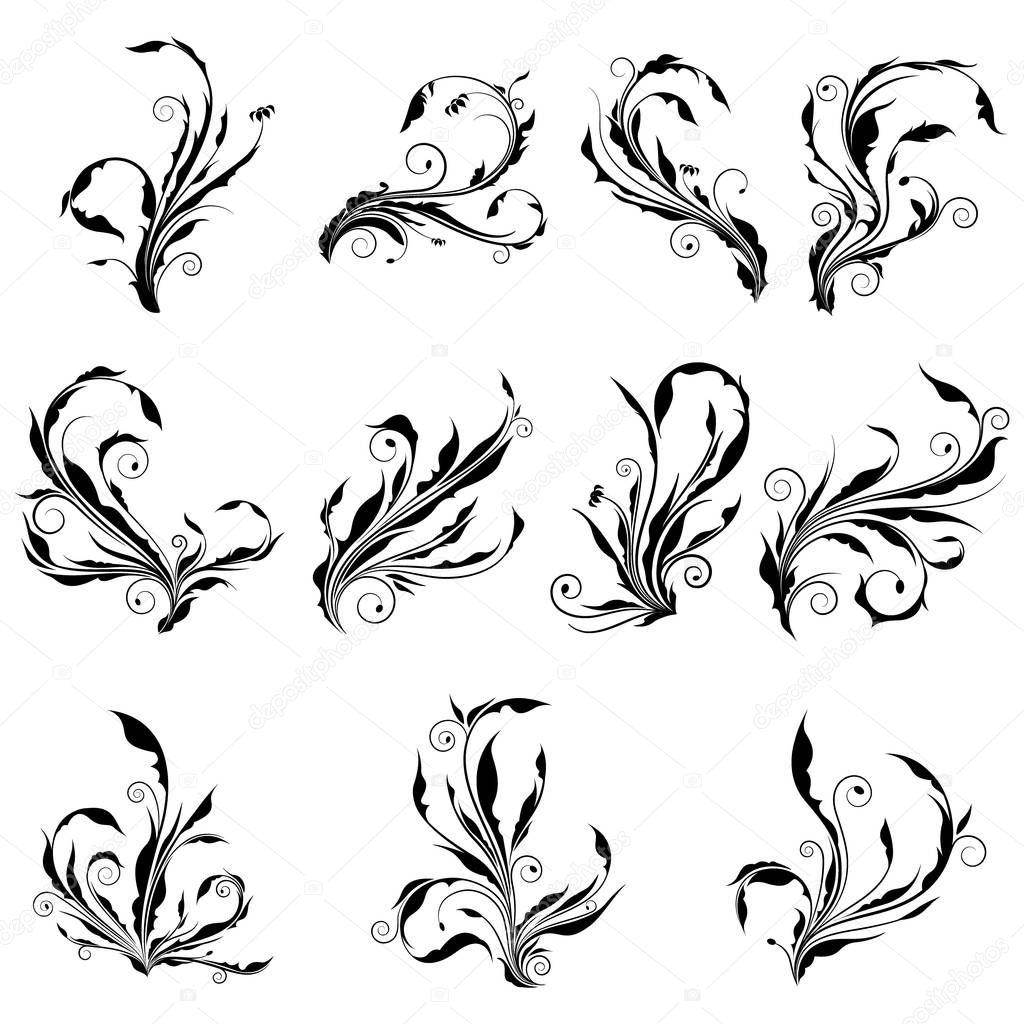 Collection of curl floral vector graphic with spiral leaves. Abstract silhouette of swirl branches with spine and sharp top like a weed.