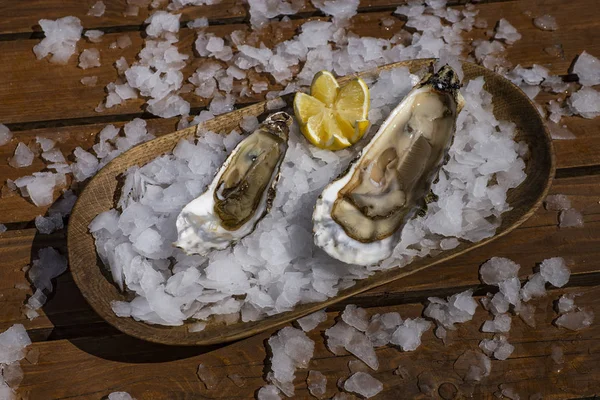 Buz limon ile lezzetli istiridye