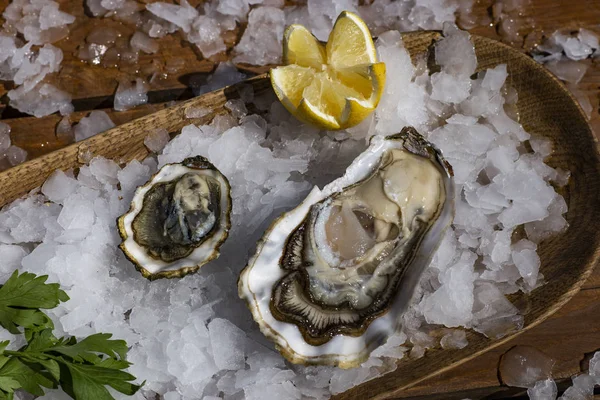 Buz limon ile lezzetli istiridye