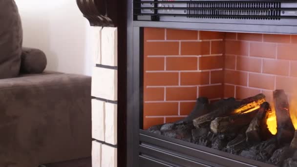 Fire Fireplace — Stock Video