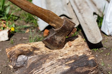 Tahta kütüğe sıkışmış eski balta, yakacak odun kesme, kırsal kesim aletleri.