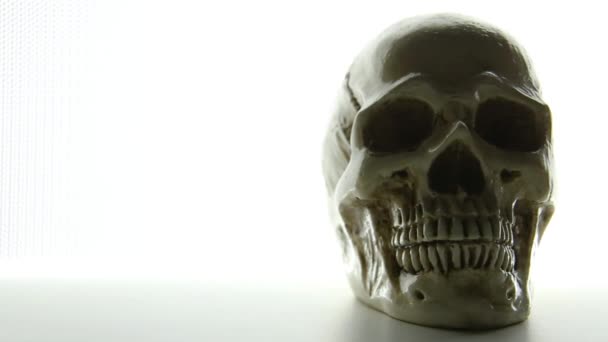 发光光背景相机运动的头骨 — 图库视频影像
