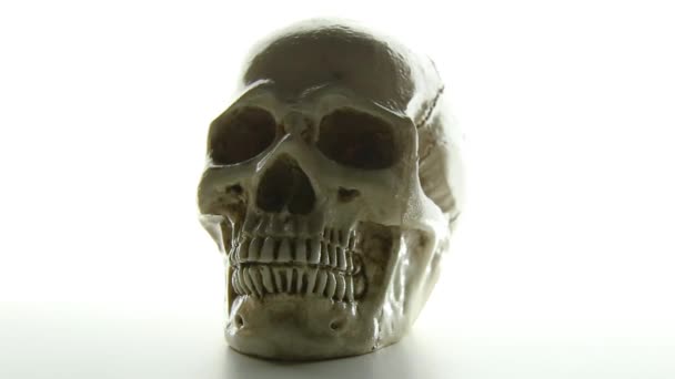发光光背景相机运动的头骨 — 图库视频影像