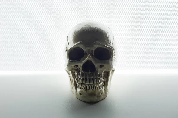 Crâne Referme Sur Fond Abstrait Lumineux — Photo