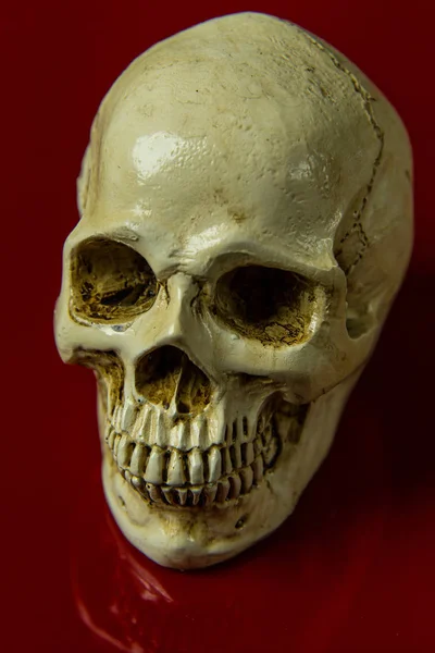 Ein Kopf Schädel Auf Rotem Hintergrund Glänzend Abstraktes Bild — Stockfoto