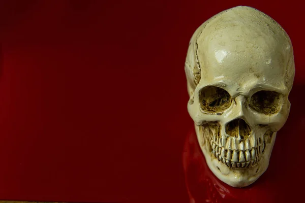 Ein Kopf Schädel Auf Rotem Hintergrund Glänzend Abstraktes Bild — Stockfoto