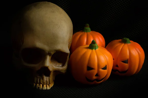 Halloween pumpkin jack and skull in black holiday background image.