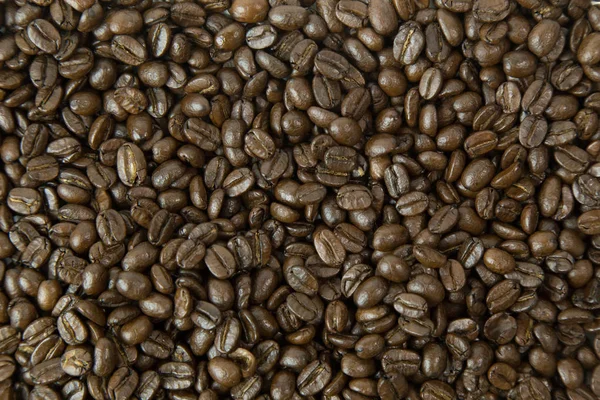 Kaffe Roast Bönor Premien Vit Bakgrund — Stockfoto