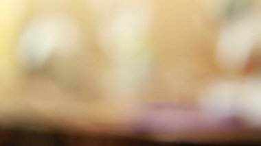 görüntüleri solucan bokeh kamera hareketi slayt üzerinde.