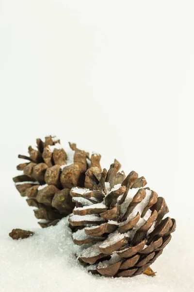 Pine Cones Snow Image Background — Stock Photo, Image