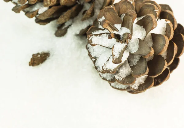 Die Tannenzapfen Auf Schnee Bild Hintergrund — Stockfoto