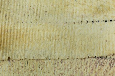 Deniz Mahsülleri haddelenmiş mürekkep balığı görüntüyü kapat.