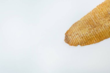 Pişmiş mürekkep balığı baharatlı deniz ürünleri yakın görüntü.