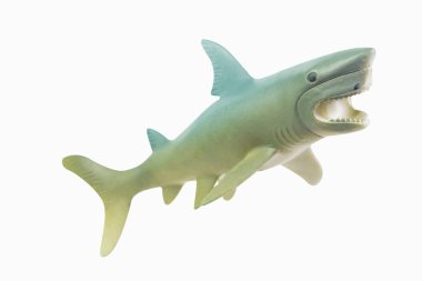  şekil oyuncak beyaz köpekbalığı izole closeup görüntü.