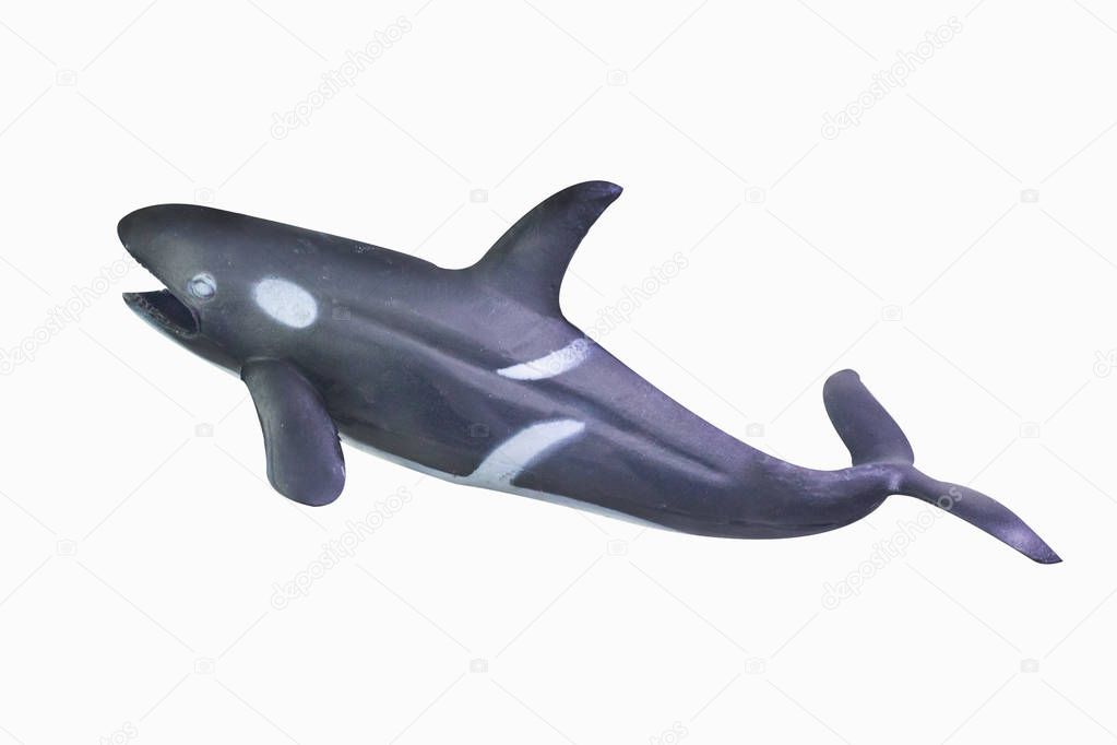  figure toy Killer whale isolated closeup image.