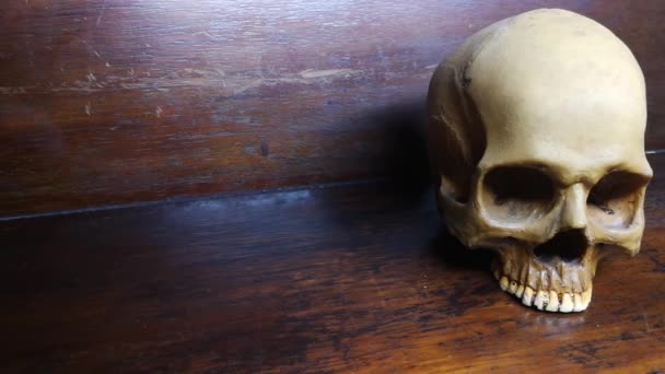 Human Skull Footage Camera Movement — Stock Video