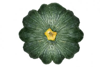 beyaz arka plan izole görüntü yeşil kabak.
