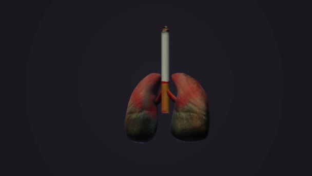 Die Darstellung Welt Kein Tabak Tag Bild Hintergrund — Stockvideo