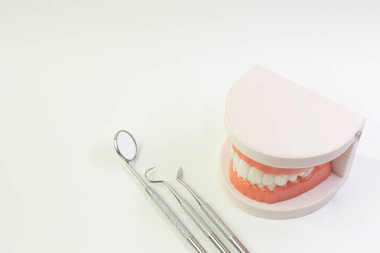 Diş içeriği için beyaz arka plan üzerinde Diş modeli.