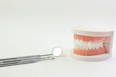 Diş içeriği için beyaz arka plan üzerinde Diş modeli.