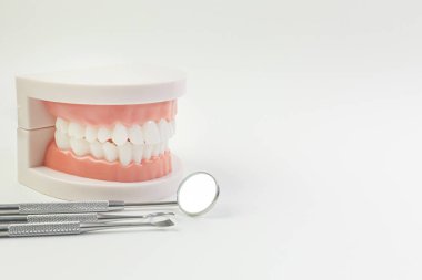 Diş içeriği için beyaz arka plan üzerinde Diş modeli.