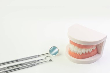 Diş içeriği için beyaz arka plan üzerinde Diş modeli.