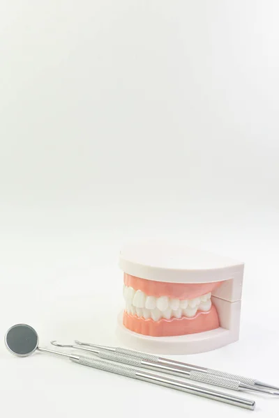 Diş içeriği için beyaz arka plan üzerinde Diş modeli. — Stok fotoğraf