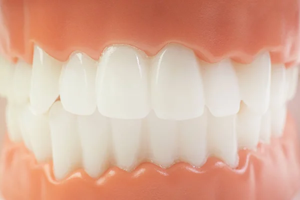 O modelo de dente em fundo branco para conteúdo dental . — Fotografia de Stock