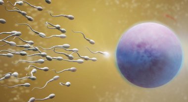 3d rendering Sperm and egg cell  science content. clipart